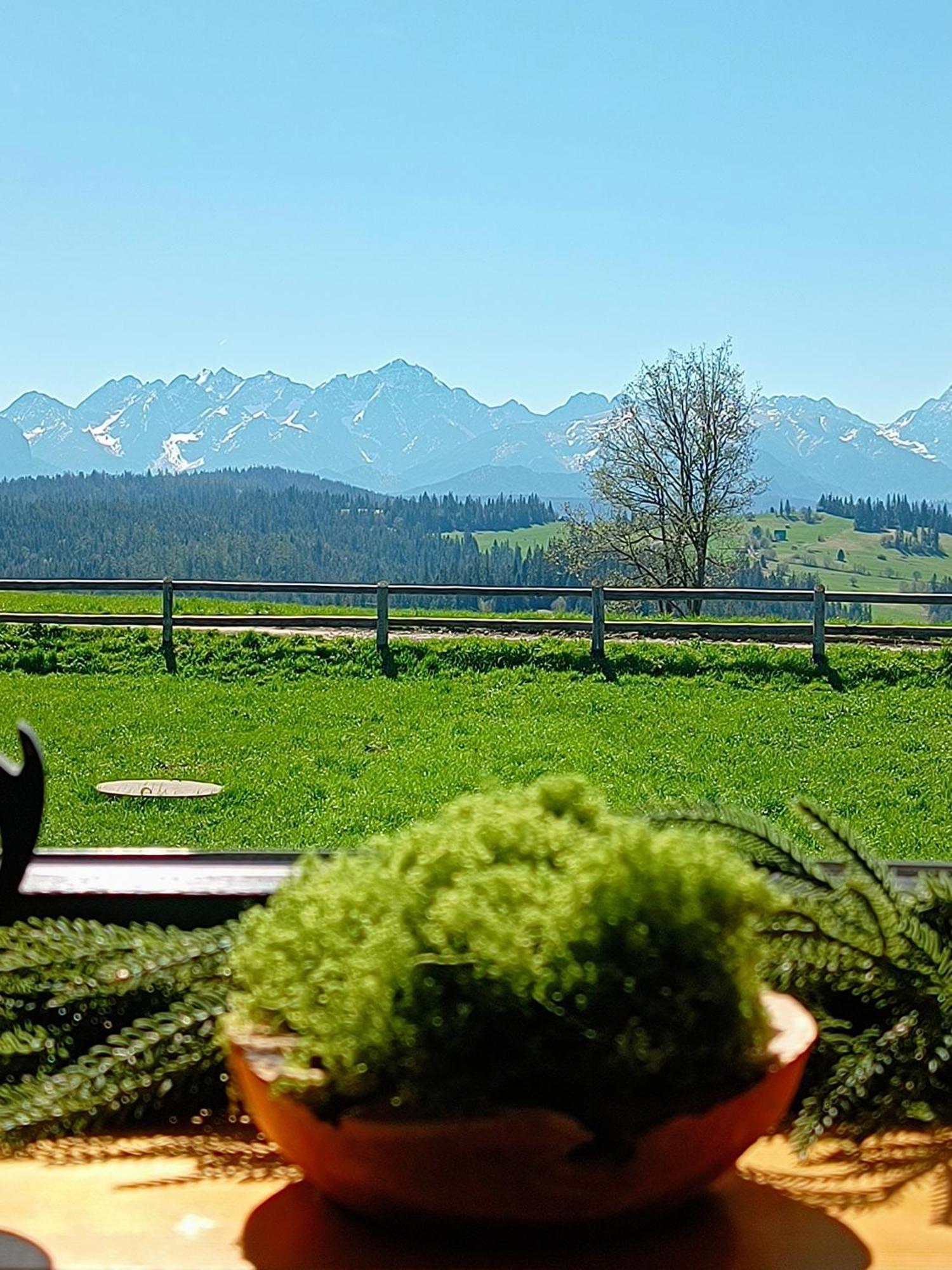 Lux Z Widokiem Na Tatry Z Prywatnym Jacuzzi